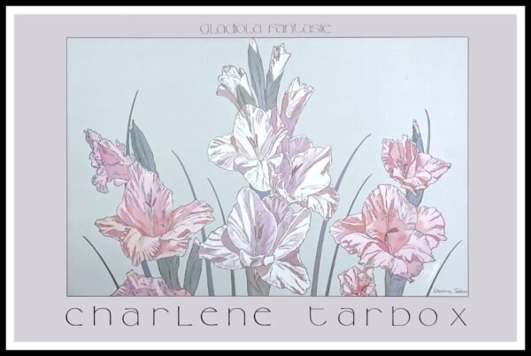 GG GOGY9621 Gladiola Fantasie